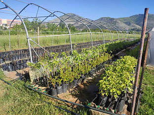 Република Српска - Tребиње - Аграрни фонд