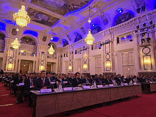 БиХ - Аустрија - Гогановић