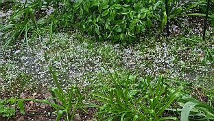 Република Српска - Добој - невријеме