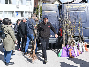 Република Српска - Пале - општина