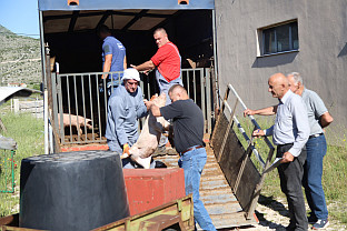 Република Српска - Требиње - Аграрни фонд