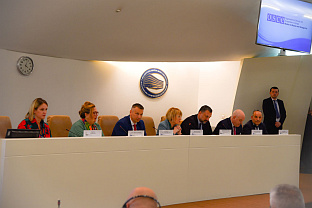 Сарајево - ОЕБС - Нешић 