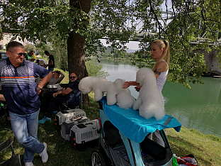 Република Српска - Зворник - манифестација