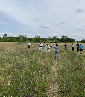 Србија - манифестације