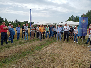 Република Српска - Шамац -  "Дани поља стрних жита" - Минић