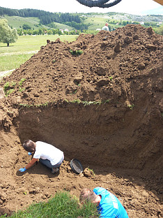 БиХ - Тужилаштво