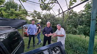 ФБиХ - Мостар - Срби