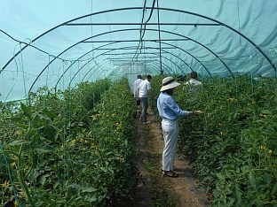 Република Српска - Братунац - репортажа