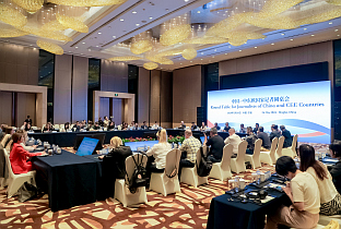 БиХ - ЦЕЕЦ - Кина