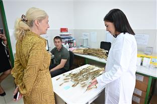 Србија - Министарство науке