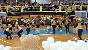 Република Српска - Милићи - "Конференција беба"