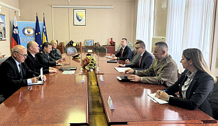  БиХ - Словенија - одбрана