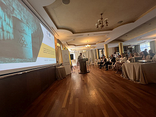 БиХ - случај "Трговска гора" - Удружење "Грин тим"