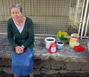 Република Српска - Сребреница - друштво