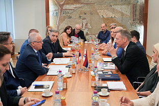 Србија - Република Српска - Свесрпски сабор