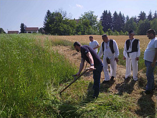 Република Српска - Козарска Дубица - традиција