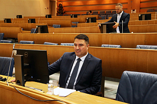 БиХ - Вујичић