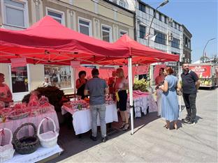 Република Српска - Козарска Дубица - манифестације