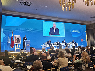 БиХ - Парламентарна скупштина - ПАМ - Радмановић