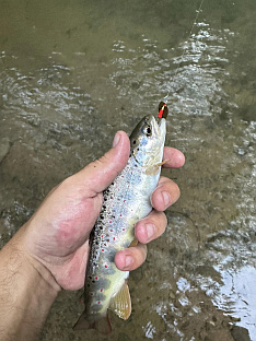 Република Српска - Соколац - манифестације