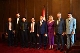 Србија - Вулин