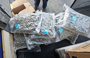 Србија - МУП