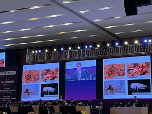 БиХ - Унеско