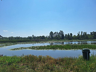 Република Српска - Шамац - УНДП - пројекти