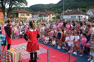 Република Српска - Рогатица - "Конференција беба"