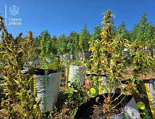 Црна Гора - Управа полиције