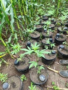 Република Српска - Козарска Дубица - полиција