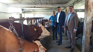 Република Српска - Власеница - пољопривреда