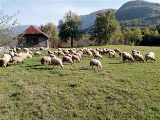 Република Српска - Фоча - Tјентиште