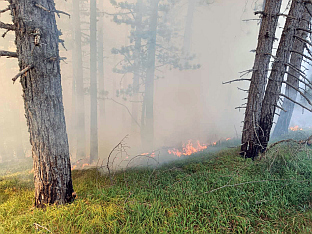 Република Српска - Фоча - пожар