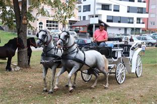 Република Српска - Прњавор - "Фијакеријада"