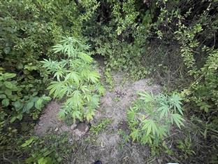 Република Српска - Приједор - Полицијска управа