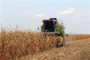 Република Српска - Семберија - пољопривреда