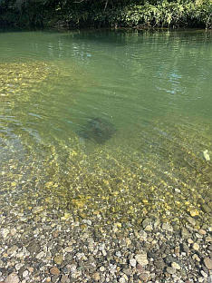 Република Српска - Цивилна заштита