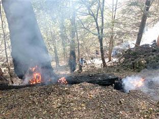 Република Српска - Национални парк "Сутјеска"