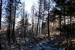 ФБиХ - Дрвар - пожар