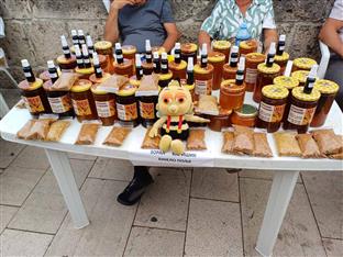 Република Српска - Вишеград - пчеларство