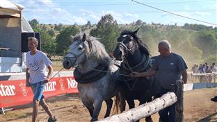 ФБиХ - Дрвар - "Штрапаријада"