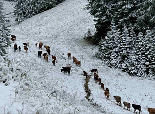 Република Српска - Олимпијски центар "Јахорина"