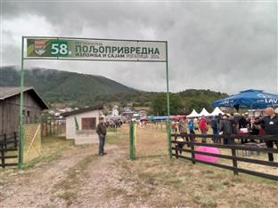 Република Српска - Рогатица - манифестације