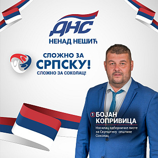 Република Српска - ДНС - избори