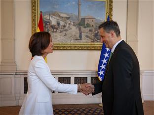 БиХ - Шпанија, Норвешка