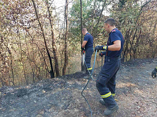 Република Српска - Лопаре - ватрогасци
