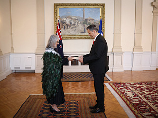 БиХ - Нови Зеланд - Бећировић, Фризел