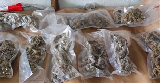 Црна Гора - Управа полиције