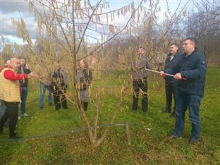 Република Српска - Нови Град - пољопривреда